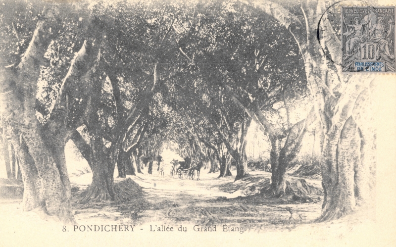 12-16 - Pondichery - allee du grand etang